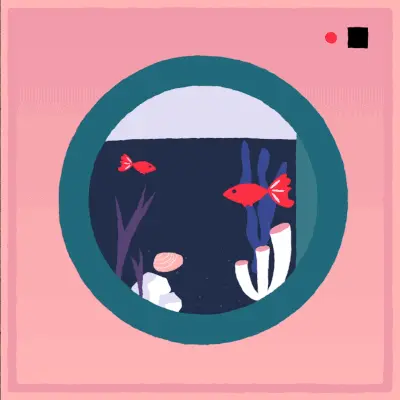 Fish Washing Machine